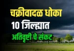 IMD News : चक्रवादळामुळे पुढील दोन दिवसात 10 जिल्ह्यात अतिवृष्टी होण्याची शक्यता