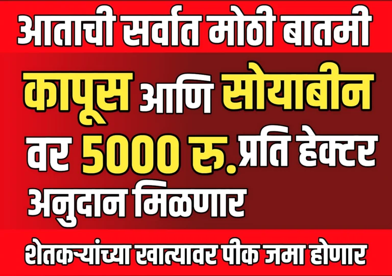 Kapus Ani Soybean Anudan : कापूस आणि सोयाबीन वर प्रति हेक्टर 5 हजार रुपये अनुदान