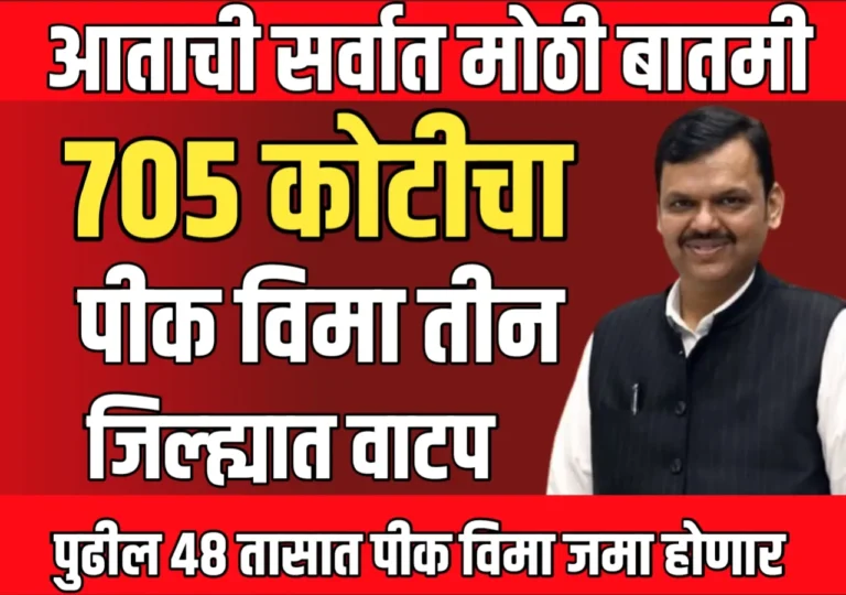 Pik Vima : या तीन जिल्ह्यात 705 कोटीचा पीक विमा वाटप होणार