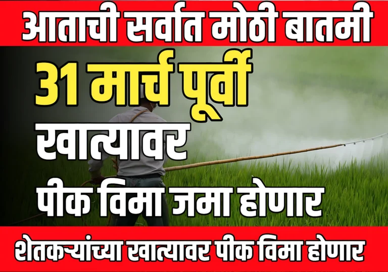 Pik Vima : 31 मार्च पूर्वी शेतकऱ्यांच्या खात्यावर पीक विमा जमा होणार