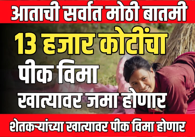 Pik Vima News : 13 हजार कोटीचा पीक विमा मंजूर