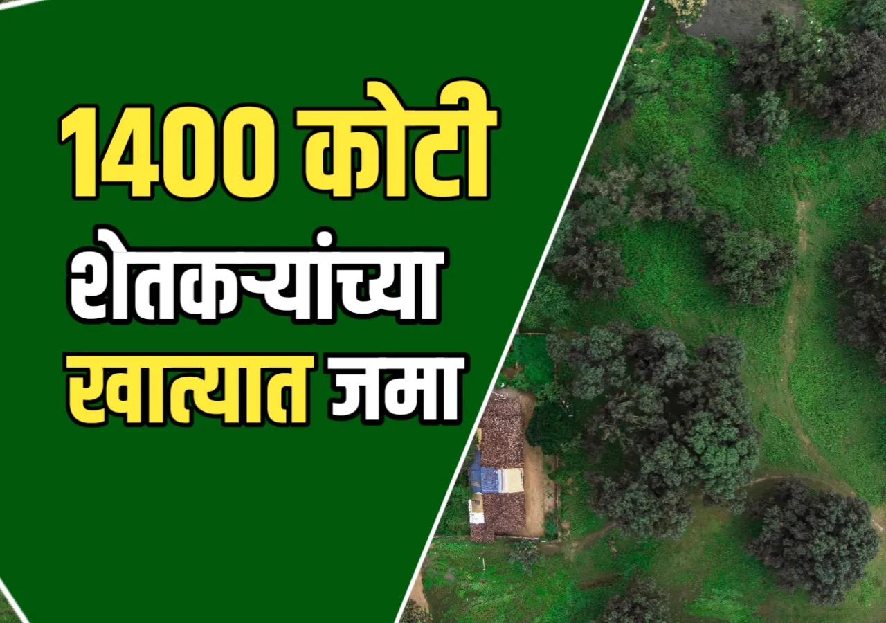 Crop Insurance Update : 1400 कोटी रुपये जमा उर्वरित पीक विमा जमा होणार