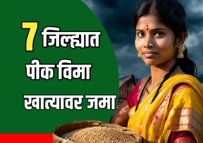 Crop Insurance : 7 जिल्ह्यात पीक विमा वाटप