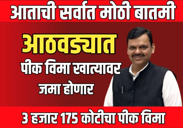 Crop Insurance Payout: आठवडाभरात 3 हजार 175 कोटीचा पीक विमा जमा होणार