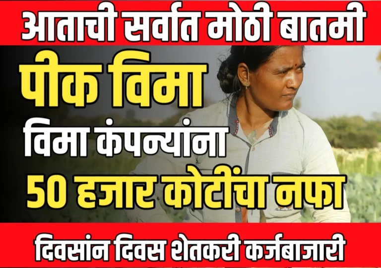 विमा कंपन्याना 5 वर्षांत 50 हजार कोटीचा नफा, शेतकरी कर्जबाजारी | Crop Insurance