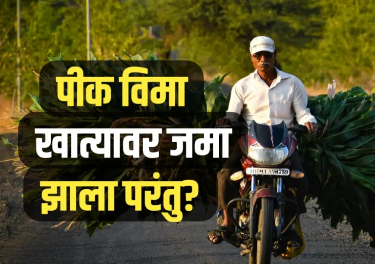 Pik Vima Update : शेतकऱ्यांच्या खात्यात पीक विमा जमा झाला परंतू ?