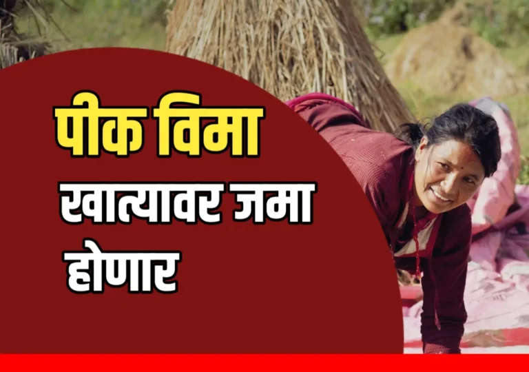 Crop Insurance : शेतकऱ्यांसाठी खुशखबर, राज्यात पीक विमा वाटप होणार