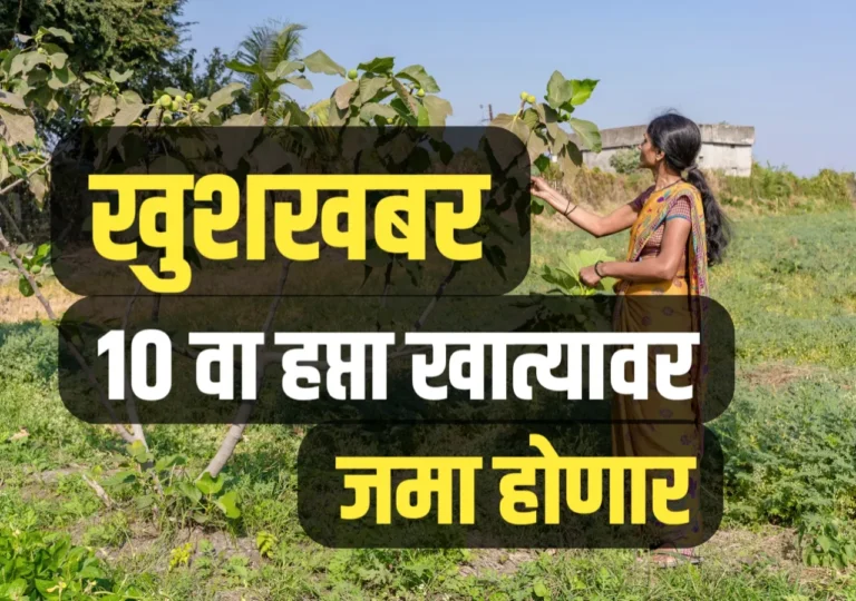 ladki bahini yojana maharashtra : लाडक्या बहिणांना खुशखबर | 10 वा हप्ताची तारीख जाहिर