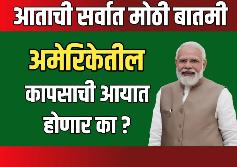 Cotton News : देशात अमेरिकेतला कापूस येणार का ?