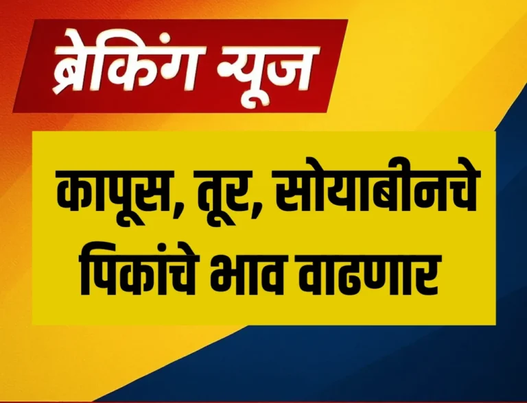 MSP Kharif 2025 : कापूस, तूर, सोयाबीन या पीकांचे भाव वाढले