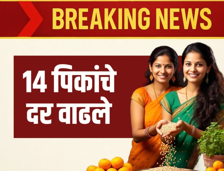 MSP Rate : एमएसपी मुळे 14 पीकांचे भाव वाढले | ते सर्व पहा