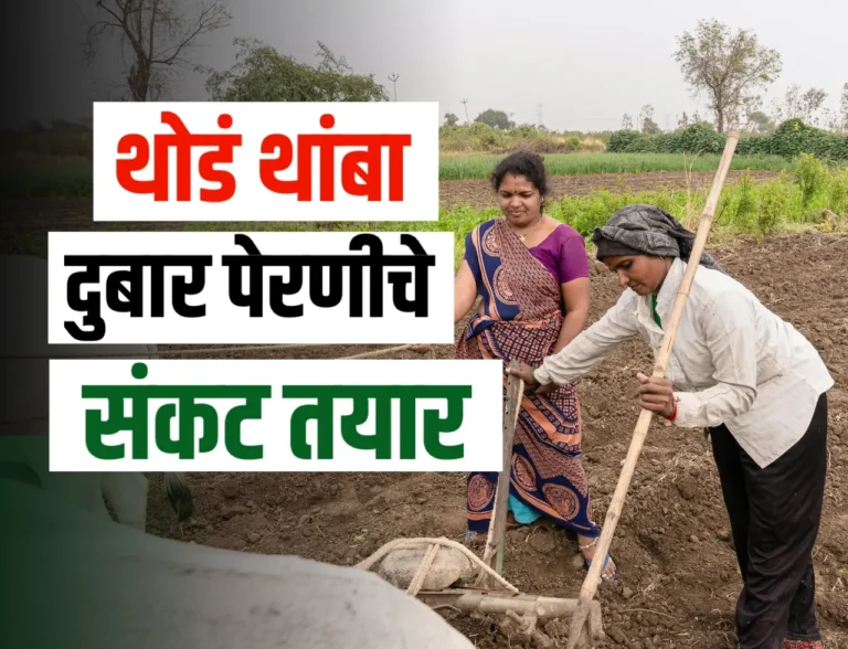 Monsoon Update Today : शेतकऱ्यांवर दुबार पेरणीची वेळे येणार का ?