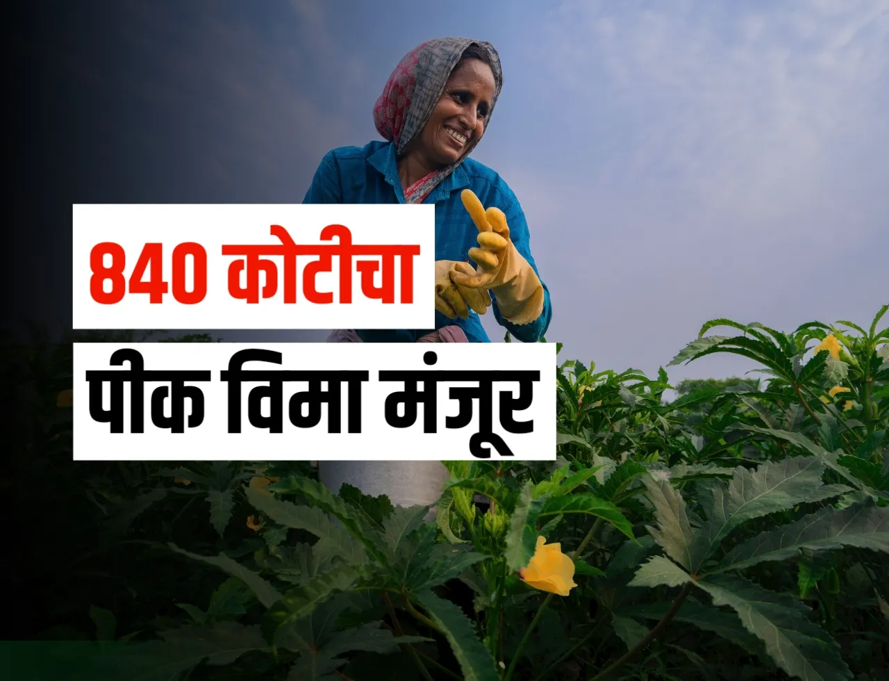 Pik Vima : दीड लाख शेतकऱ्यांना 840 कोटीचा पीक विमा मंजूर