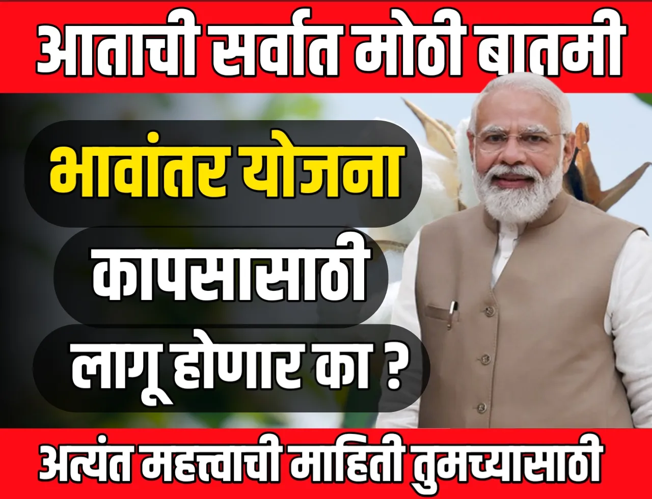 Kapus Bhavantar Yojana: केंद्र सरकारने कापसासाठी भावांतर योजना राबवावी