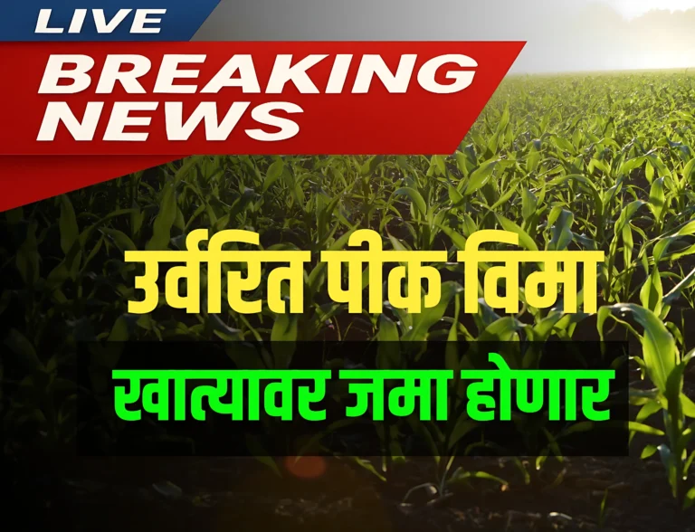 Kharif Pik Vima 2024 : शेतकऱ्यांच्या खात्यावर उर्वरित रक्कम जमा होणार