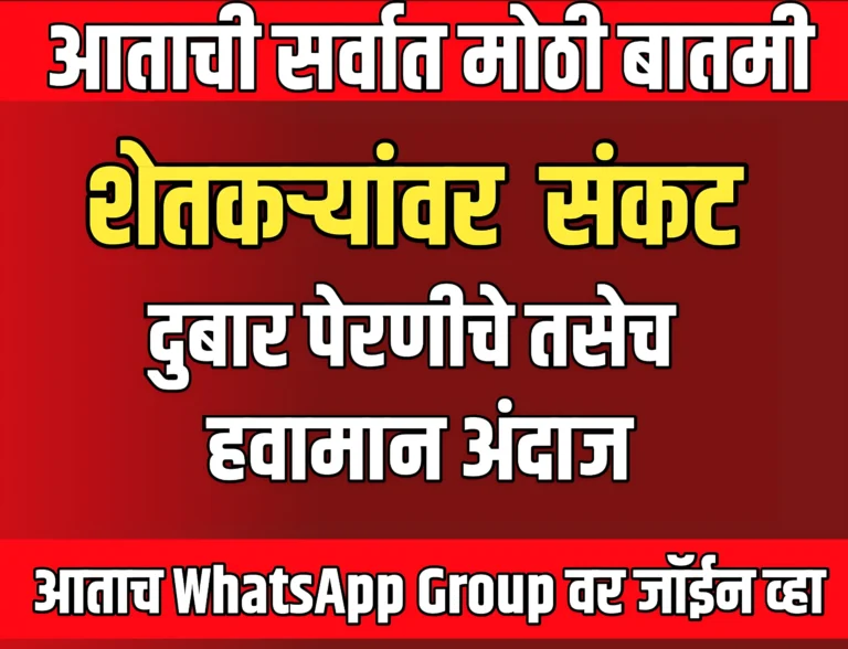 Resowing Issue : शेतकऱ्यांवर पुन्हा नवीन संकट | दुबार पेरणी होण्याची शक्यता!