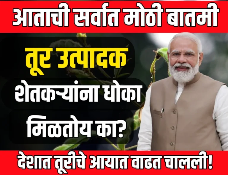 Tur Market : तूर उत्पादक शेतकऱ्यांना धोका मिळतोय का ?