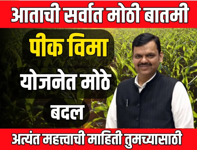 Pik Vima : पीक विमा योजनेत मोठे बदल! शेतकऱ्यांना पीक विमा कसा मिळणार ?