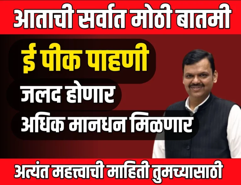 E Pik Pahani : ई पीक पाहणी जलद होणार | तलाठी सहाय्यकांना अधिक मानधन मिळणार