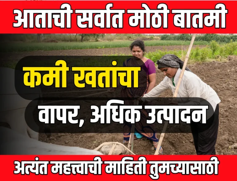 Npk Fertilizer : कमी खताचा वापर करुन जास्त उत्पादन मिळवा