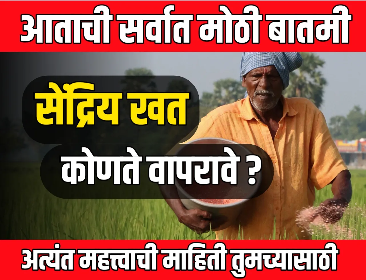 organic fertilizers : सेंद्रिय खत कोणते वापरावे ? शेणखत, गांडूळ खत की कोंबड खत चांगले!