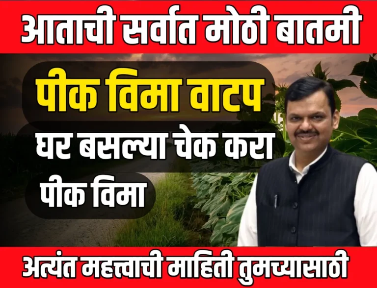 PMFBY : पीक विमा वाटप सुरु | तुम्हाला पीक विमा मंजूर आहे की नाही, हे घरबसल्या चेक करा ?