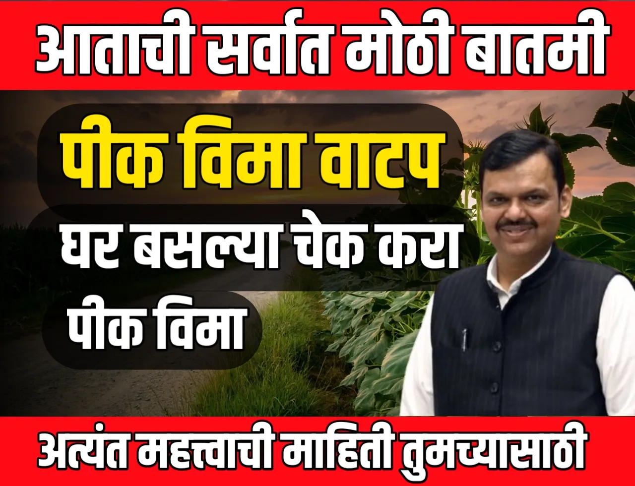 PMFBY : पीक विमा वाटप सुरु | तुम्हाला पीक विमा मंजूर आहे की नाही, हे घरबसल्या चेक करा ?