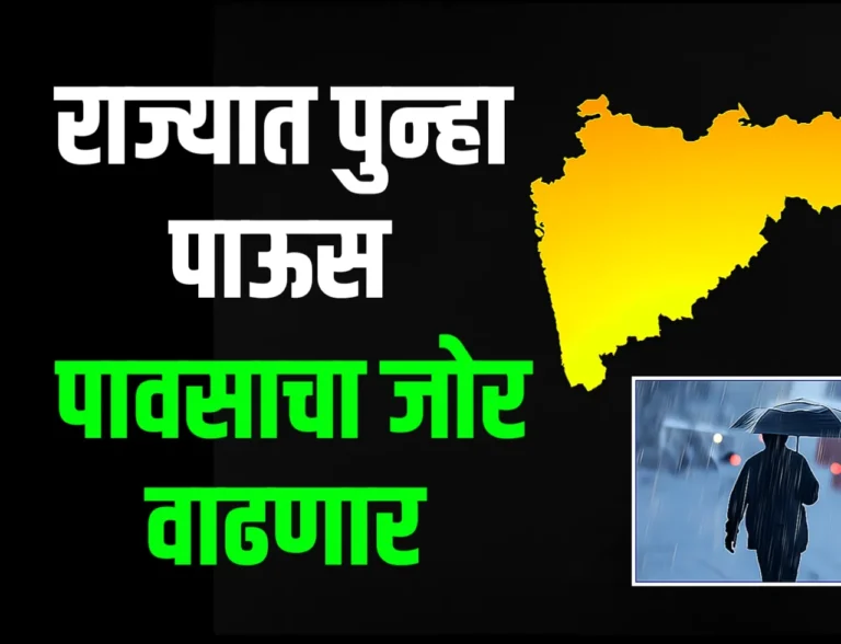 Rain Update : महाराष्ट्रात पुन्हा एकदा पावसाचा जोर वाढणार!