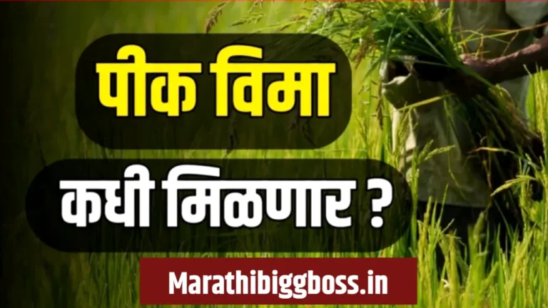 पीक विमा २०२५ कधी मिळणार? तुमच्या प्रश्नांची उत्तरे आणि सविस्तर माहिती | pik vima 2025 kadhi milnar