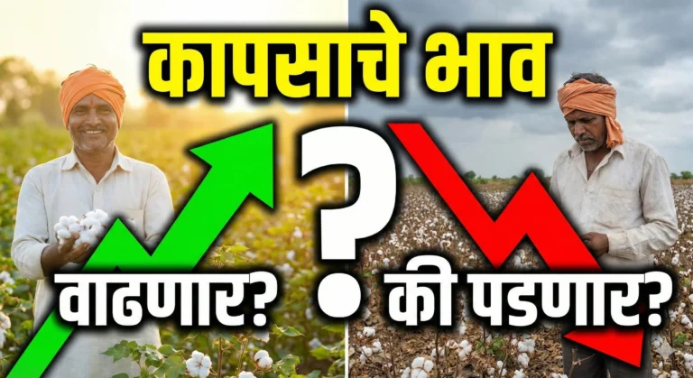 A split-screen YouTube thumbnail in Marathi. The left side shows a smiling farmer with cotton bolls, a green upward arrow, and the text "वाढणार?". The right side shows a worried farmer in a dry cotton field, a red downward arrow, and the text "की पडणार?". The main text at the top is "कापसाचे भाव" with a large central question mark.