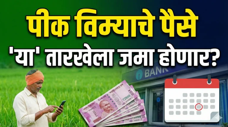 पीकविमा भरपाई अपडेट: बुलढाणा जिल्ह्यासाठी 90 कोटींची 'गुड न्यूज'? फळ पीक विम्याचे पैसे 'या' तारखेला जमा होणार?