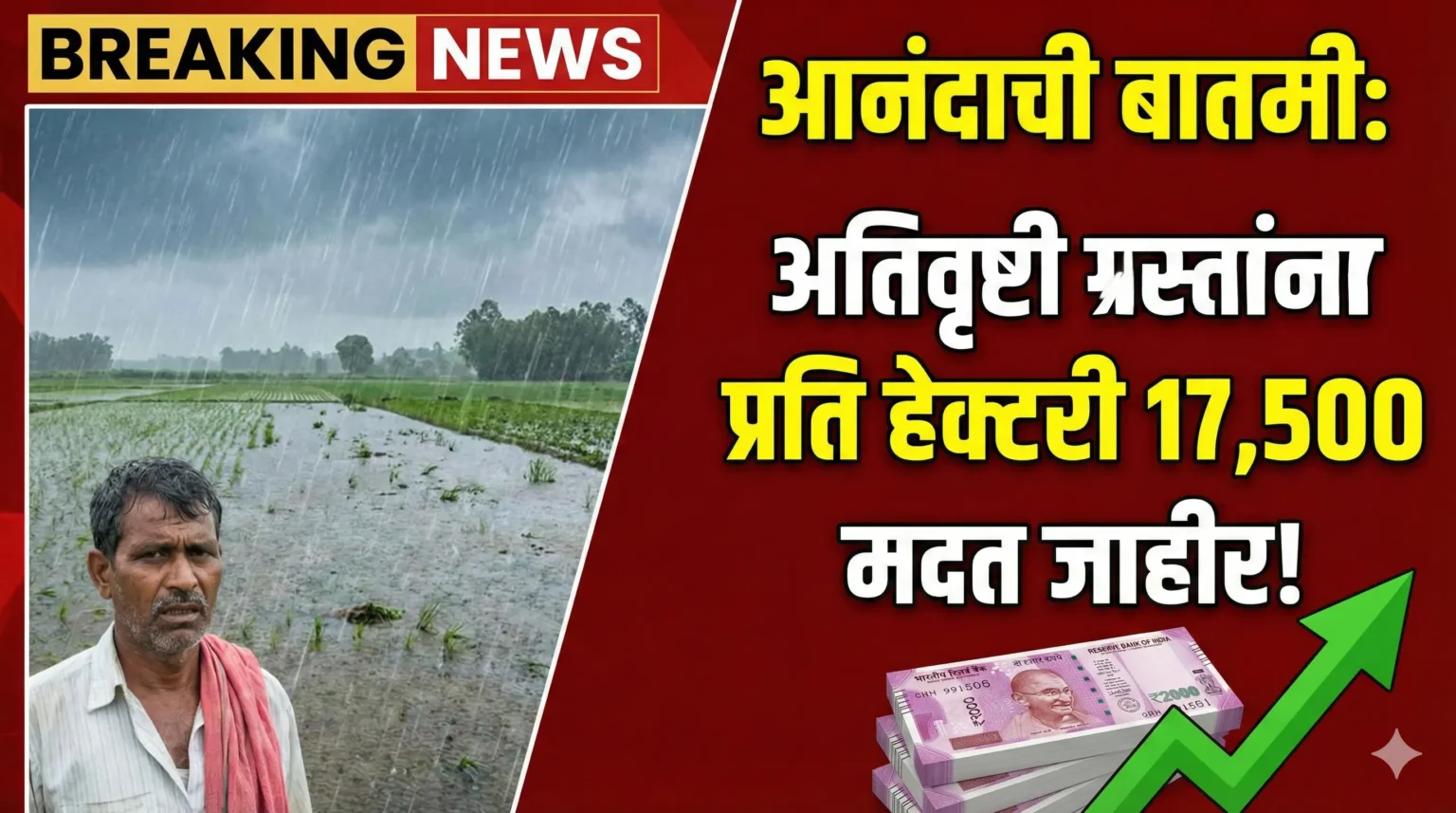 Pik Vima Update: अतिवृष्टीग्रस्तांना हेक्टरी १७,५०० रुपये? Ativrushti Nuksan Bharpai ची मोठी बातमी!