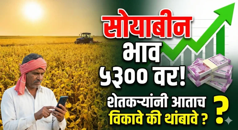 Soybean Rate Today: सोयाबीन भाव 5300 वर! शेतकऱ्यांनी आताच विकावे की थांबावे? | मोठी अपडेट