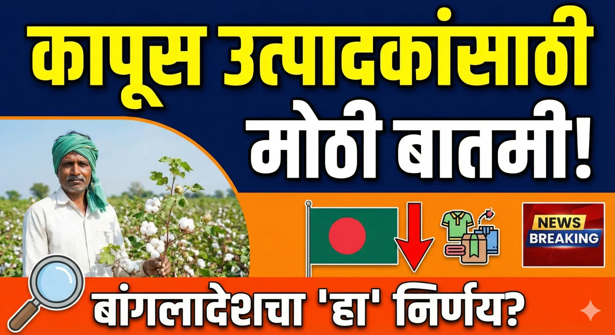 Cotton Rate Update: बांगलादेशचा 'हा' निर्णय फिरवणार का बाजाराचे गणित? काय सांगतोय आजचा कापूस बाजार?