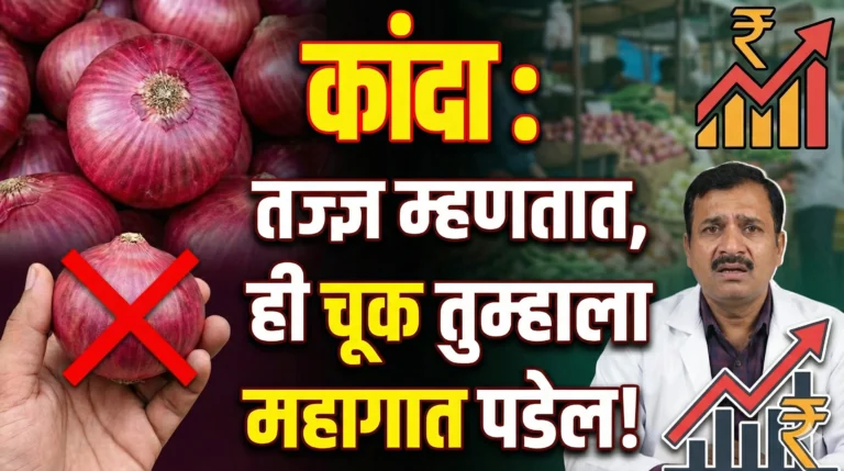कांदा पिकाचे पाणी व्यवस्थापन: ठिबक की पाटाने पाणी? तज्ज्ञांचा सल्ला | Onion Irrigation