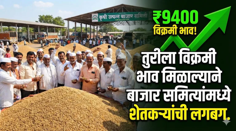 Farming market yard auction with high prices in Maharashtra.