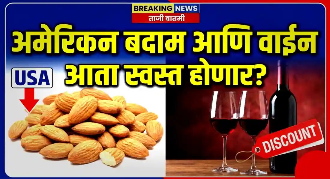 अमेरिकन बदाम आणि वाईन आता स्वस्त होणार? भारत-अमेरिका व्यापार कराराची 'आतली बात' वाचा!