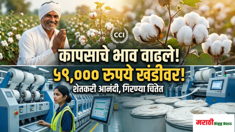 Indian Cotton Price Update: शेतात उभा असलेला आनंदित शेतकरी आणि सूतगिरणीचे दृश्य, CCI कापूस दरवाढ ५९,००० रुपये खंडी.