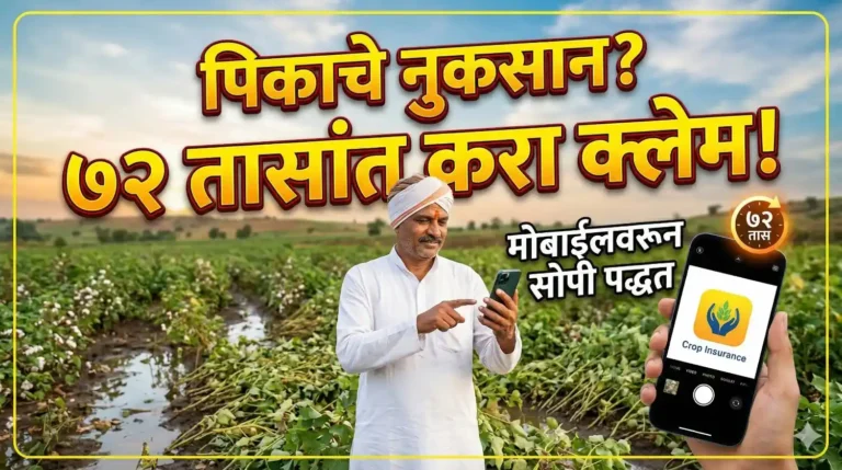 शेतात मोबाईलवरून पीक विमा (Pik Vima) क्लेम करताना शेतकरी.