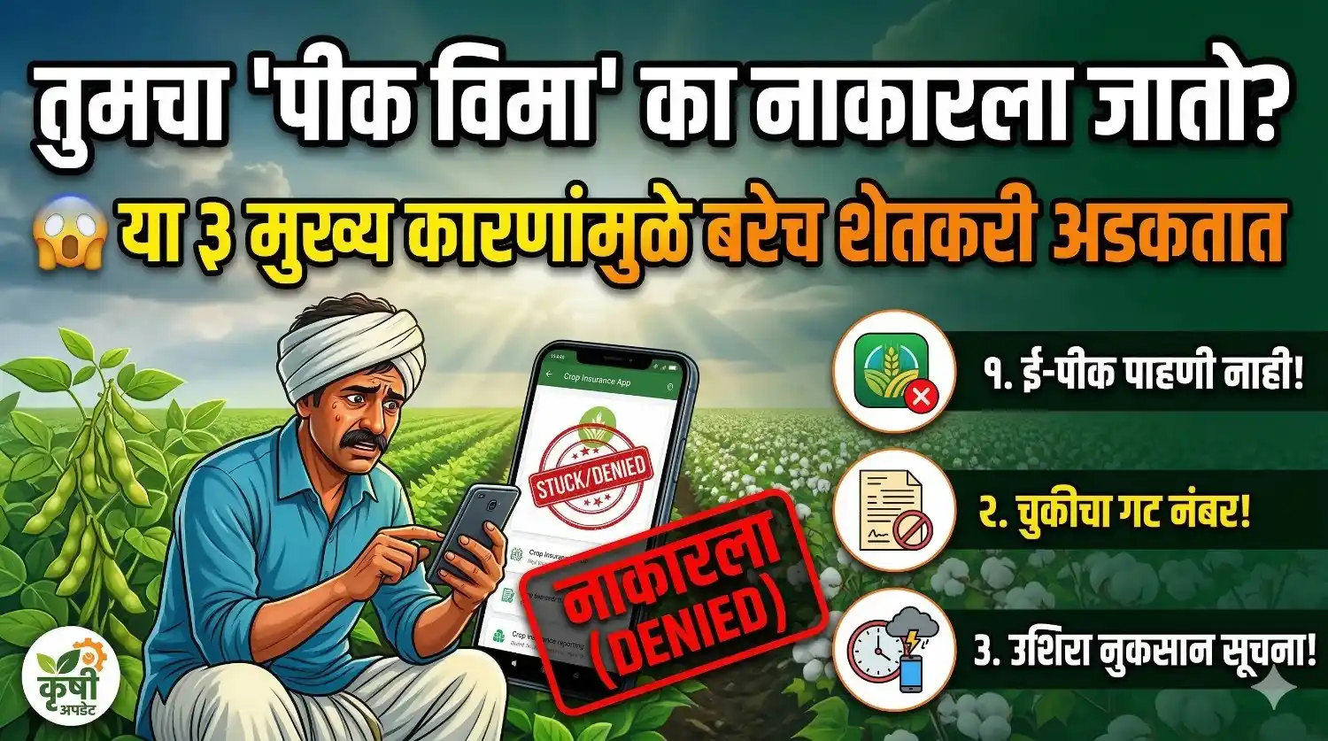 मोबाईलवर घरबसल्या आपला Pik Vima (पीक विमा) स्टेटस चेक करणारा शेतकरी.