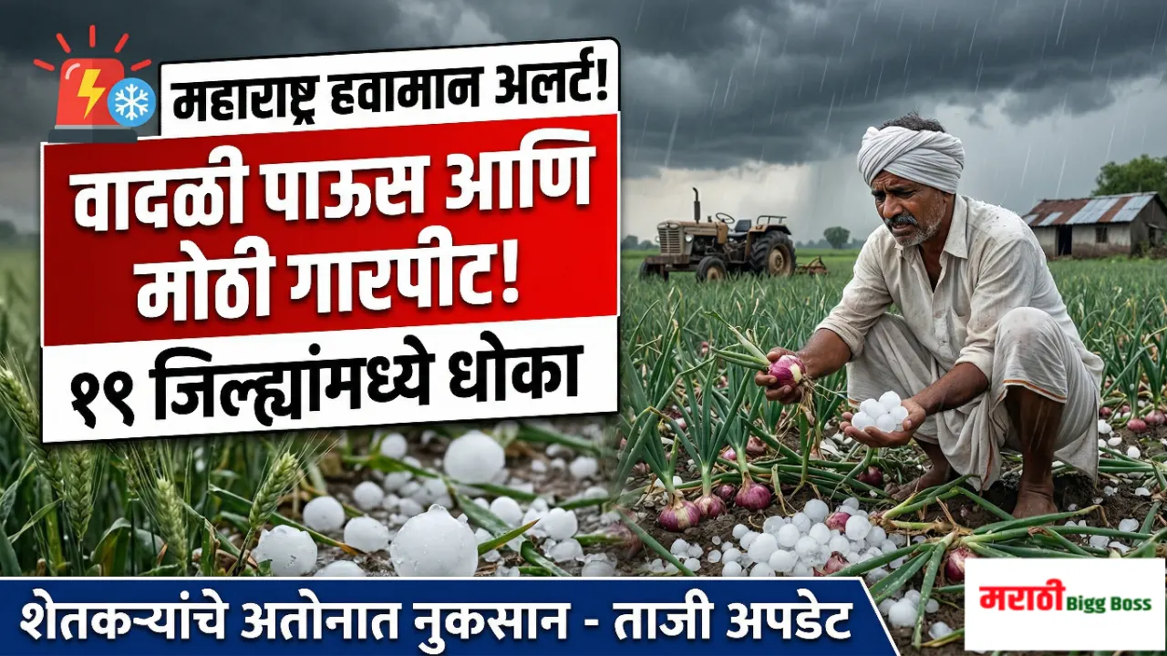 महाराष्ट्रात अवकाळी पाऊस आणि गारपिटीमुळे शेतीचे झालेले नुकसान आणि हवामान विभागाचा इशारा (Maharashtra Weather Update)
