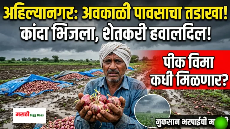 अहिल्यानगरमध्ये अवकाळी पावसाने भिजलेला कांदा आणि पीक विम्याच्या (Pik Vima Ahilyanagar) प्रतीक्षेत असलेला हवालदिल शेतकरी.