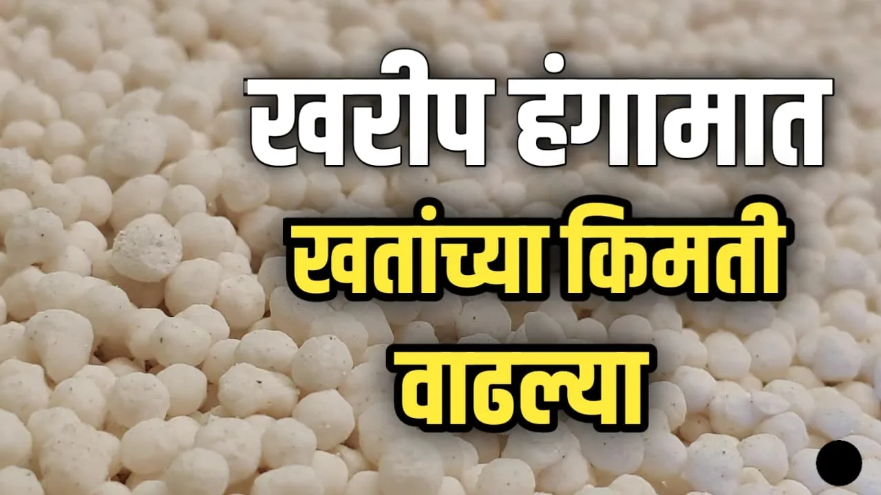 रासायनिक खतांच्या दरात मोठी वाढ