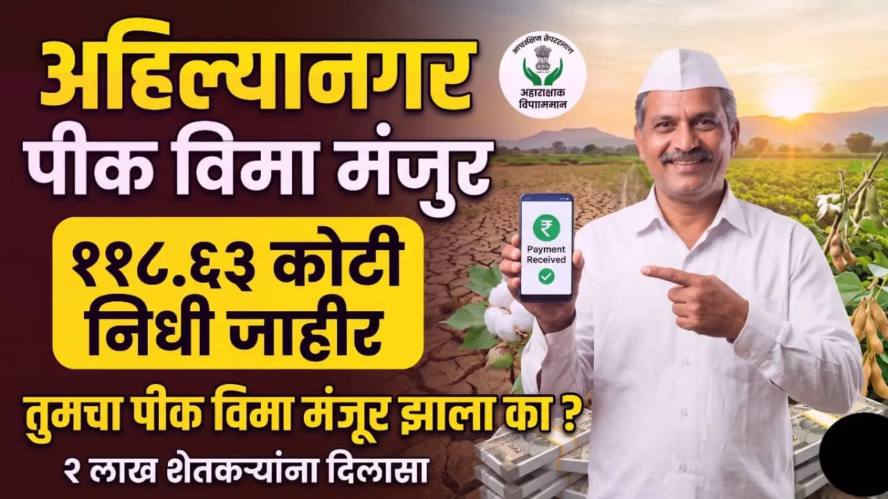 नुकसानग्रस्त पिकाची पाहणी करणारा शेतकरी आणि अहिल्यानगर खरीप पीक विमा २०२५ मंजूर झाल्याचा मजकूर.